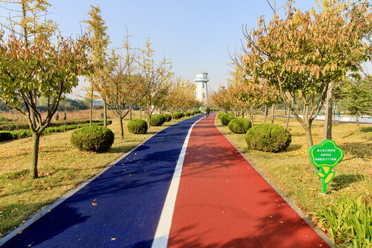 公園健身步道