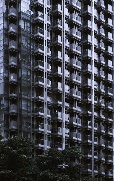 香港堅尼地
