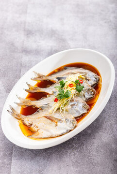 鯧魚(yú)