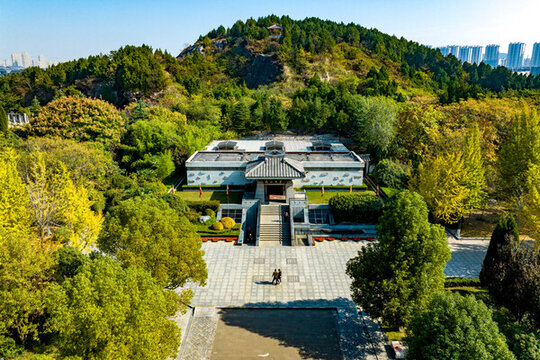 徐州龜山漢墓