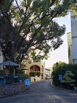 深圳大田世居