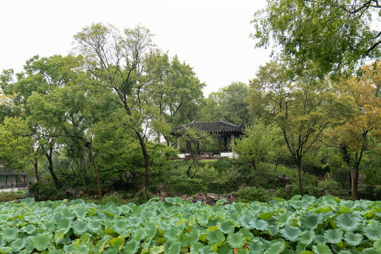 拙政園庭院