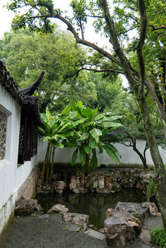 園林庭院