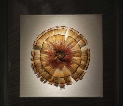 羽毛玄關(guān)裝飾畫