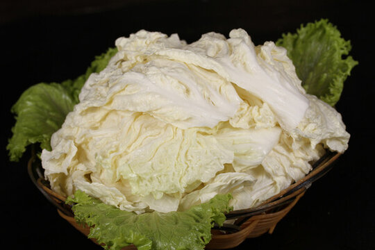圓白菜