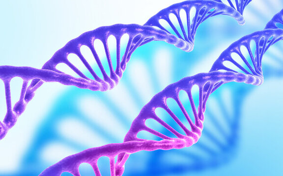 蓝紫色DNA