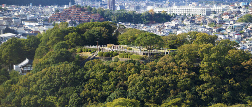 城市與綠地