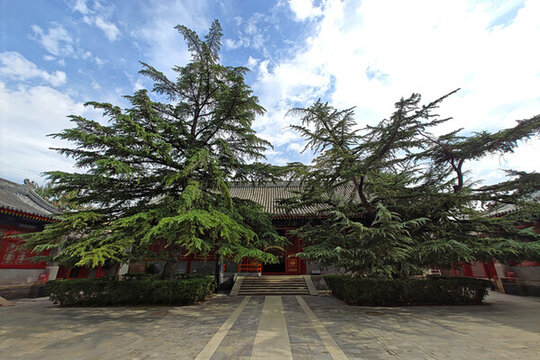 北京萬壽寺大禪堂
