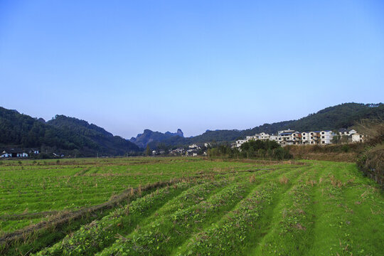 新寧田園風(fēng)光