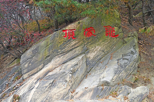 龜蒙頂