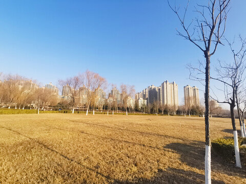 景觀園林秋景
