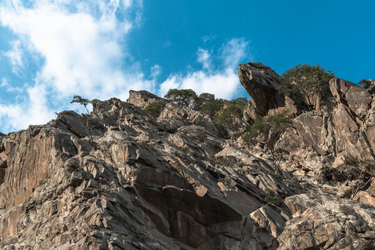 賀蘭山
