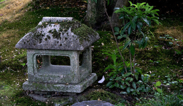 矮石燈