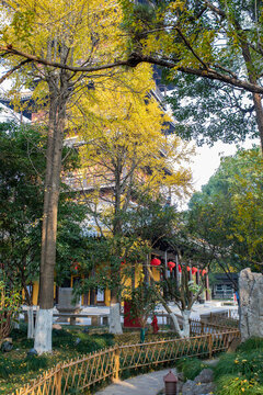 方塔園秋景