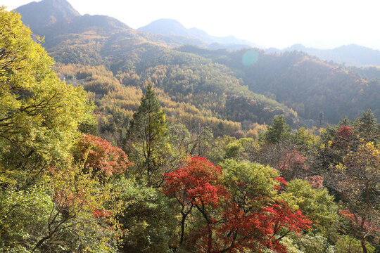 麥積山風(fēng)景