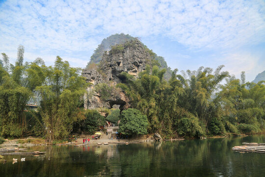 陽朔大榕樹景區(qū)