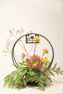 菊花插花