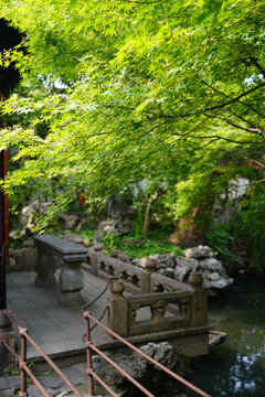 經(jīng)典蘇州園林怡園