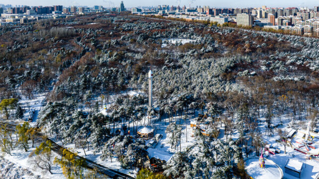 雪后的中國長春南湖公園森林雪景