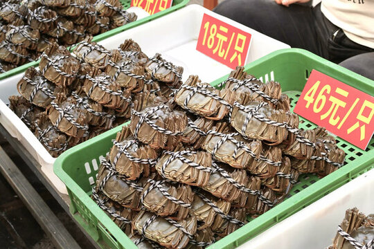 梁子湖大閘蟹
