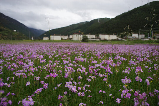 川西高原風(fēng)景