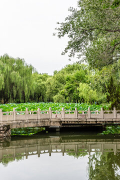 中國(guó)北京清華大學(xué)近春園蓮橋