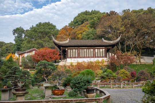 虎丘秋景