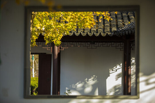 秋景