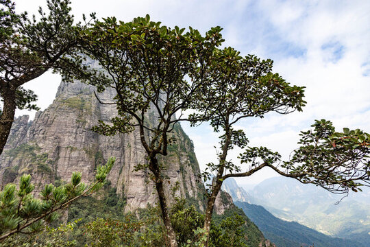 廣西金秀五指山景區(qū)景觀雄奇秀麗
