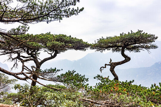 廣西金秀五指山景區(qū)景觀雄奇秀麗