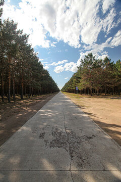 松林公路