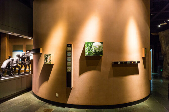 展覽館展廳