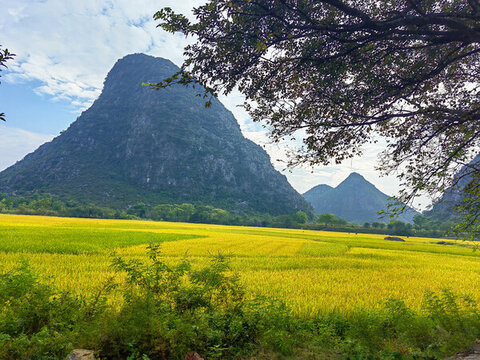 桂林山水風(fēng)景