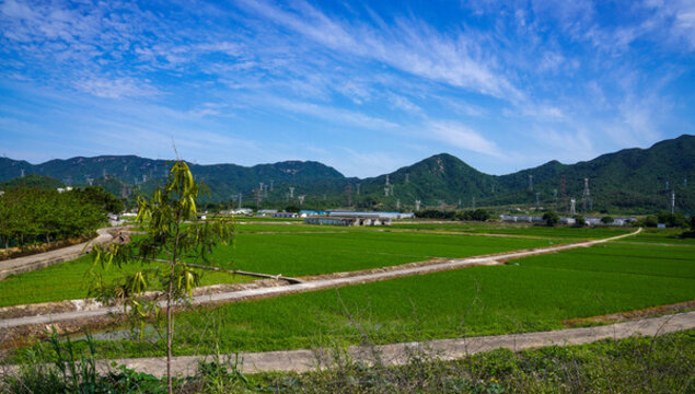 春天的農(nóng)田