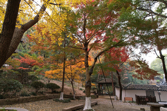蘇州園林秋景