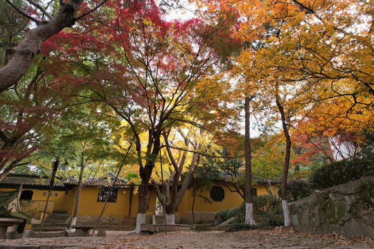 蘇州園林秋景