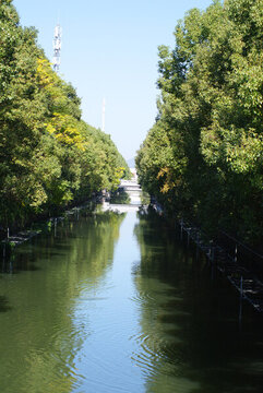 浙江城市河道綠化