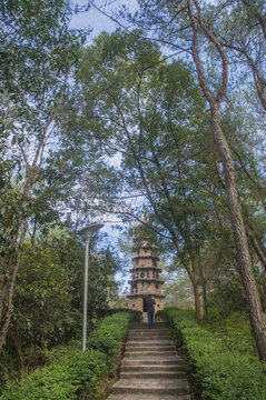 閩清臺(tái)山景色