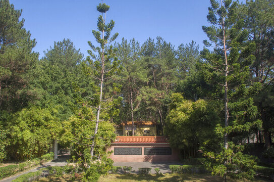 綠蔭庭園