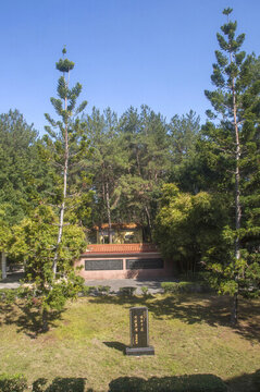 臺山庭院
