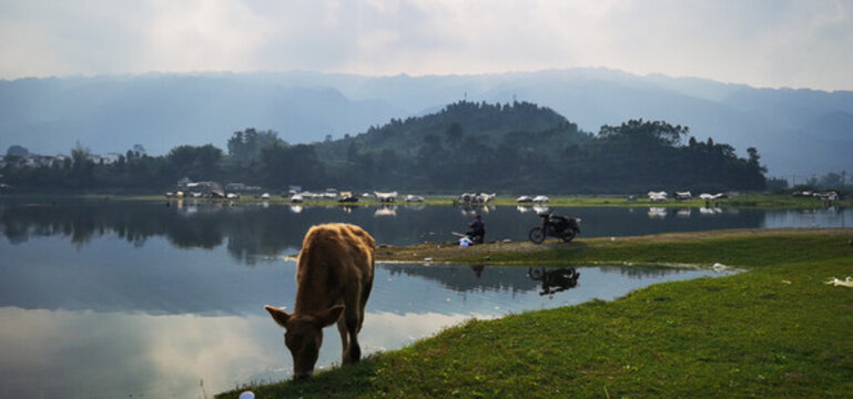 鄉(xiāng)村清晨