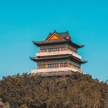 塔