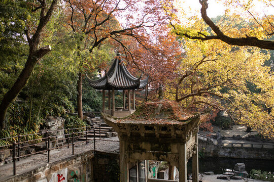 園林秋景