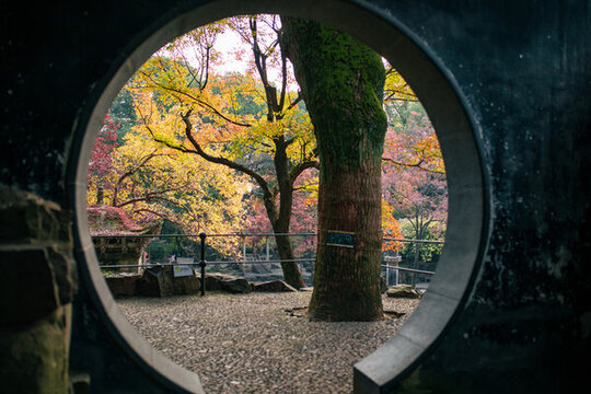 虎丘公園