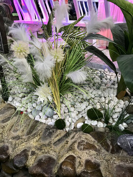 裝飾草
