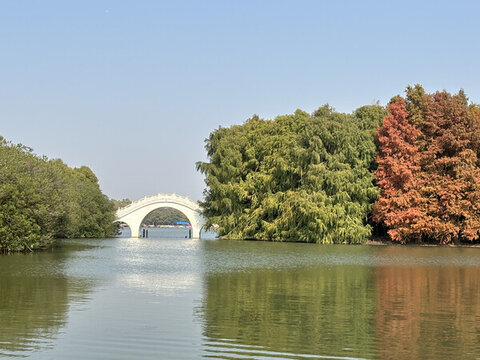 上海海灣國家森林公園
