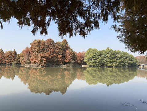 上海海灣國家森林公園