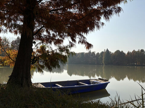 上海海灣國家森林公園