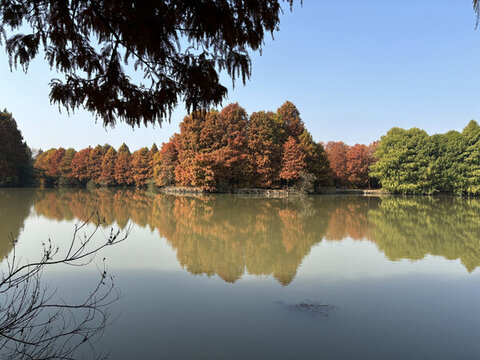上海海灣國(guó)家森林公園