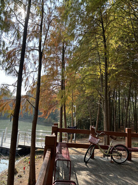 上海海灣國(guó)家森林公園